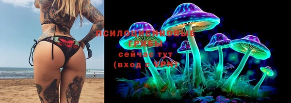 тгк Дмитровск