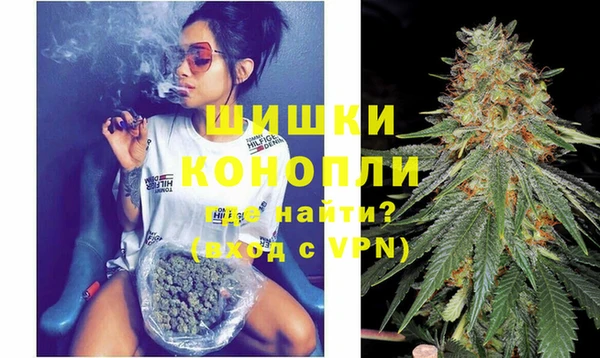 PSILOCYBIN Дмитриев