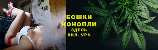тгк Дмитровск
