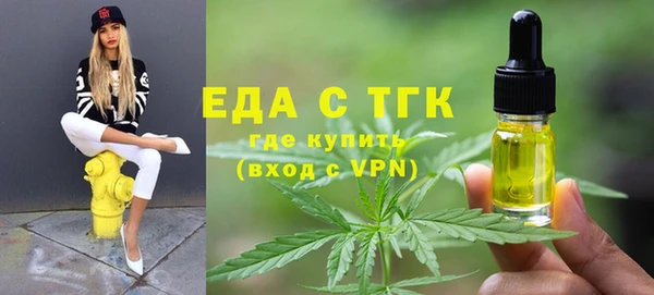 тгк Дмитровск