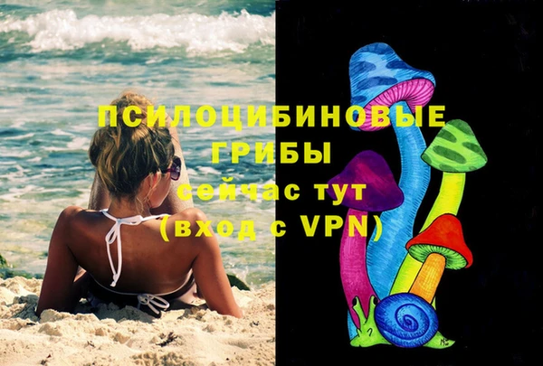 mdpv Дмитров