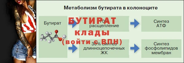 PSILOCYBIN Дмитриев