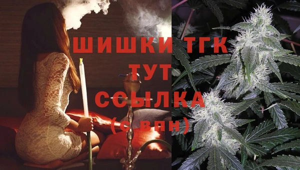 PSILOCYBIN Дмитриев