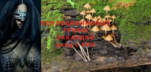 mdpv Дмитров