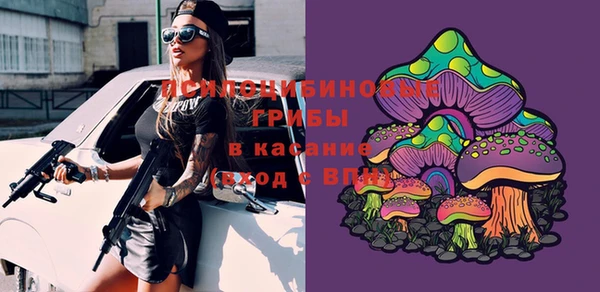 2c-b Гусь-Хрустальный