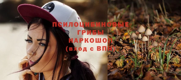PSILOCYBIN Дмитриев